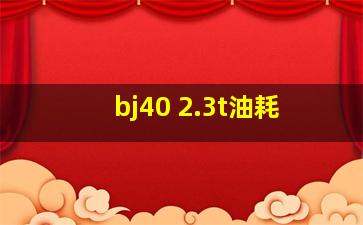 bj40 2.3t油耗